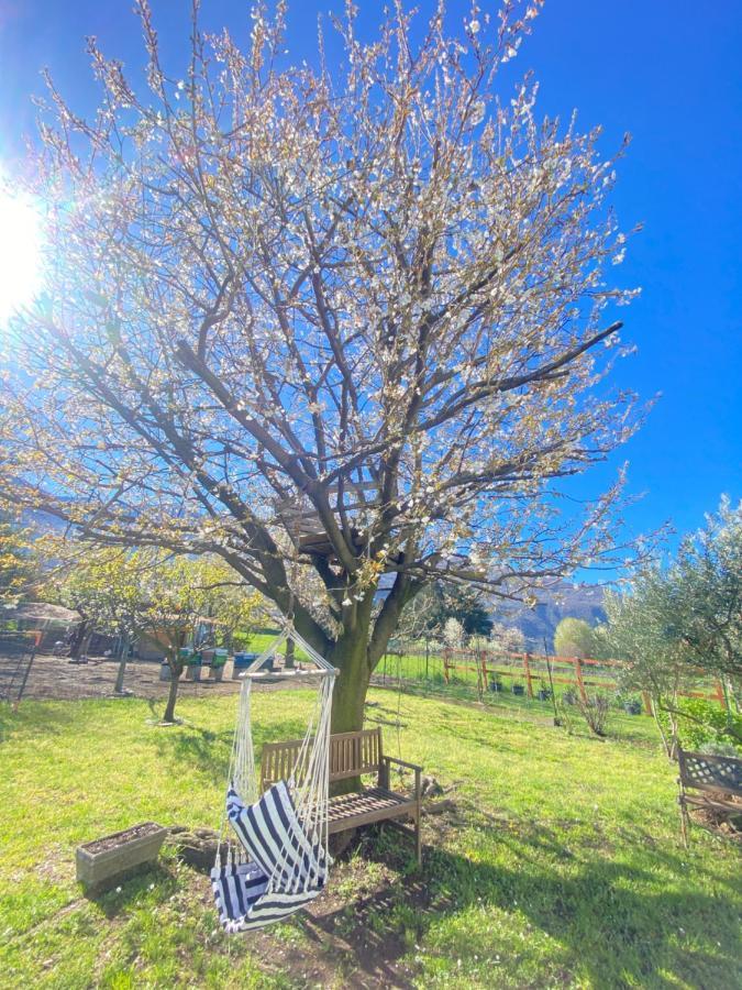 Apartmán Il Giardino Dei Ciliegi Colico Exteriér fotografie