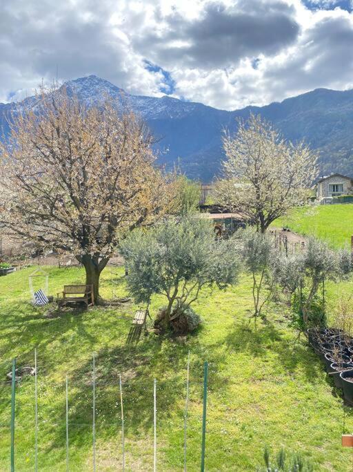 Apartmán Il Giardino Dei Ciliegi Colico Exteriér fotografie