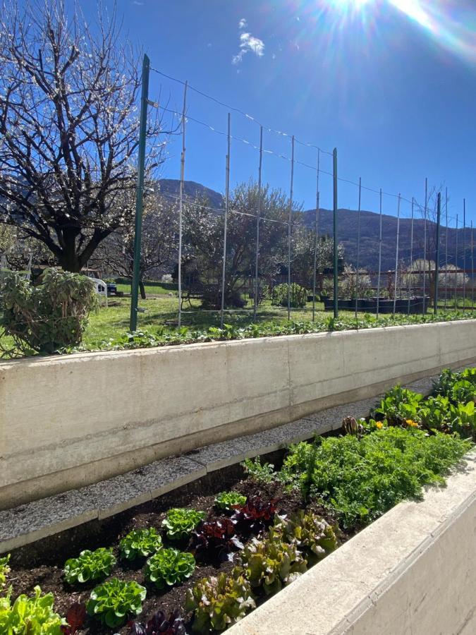 Apartmán Il Giardino Dei Ciliegi Colico Exteriér fotografie