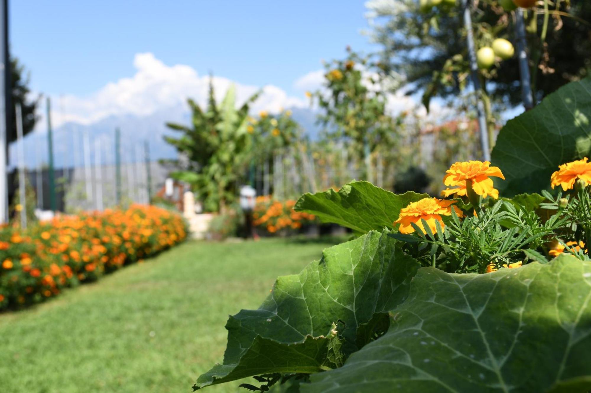Apartmán Il Giardino Dei Ciliegi Colico Exteriér fotografie