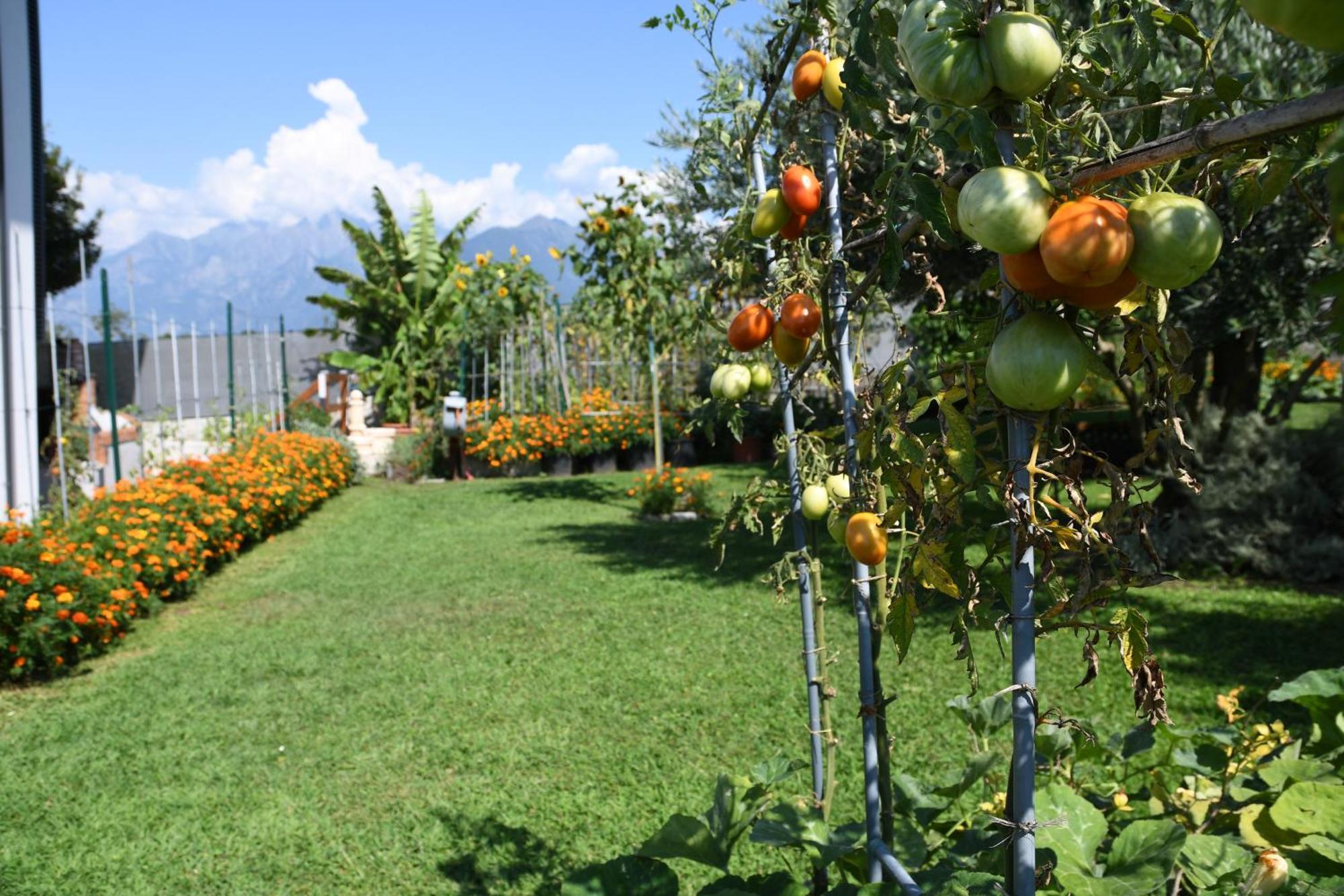 Apartmán Il Giardino Dei Ciliegi Colico Exteriér fotografie