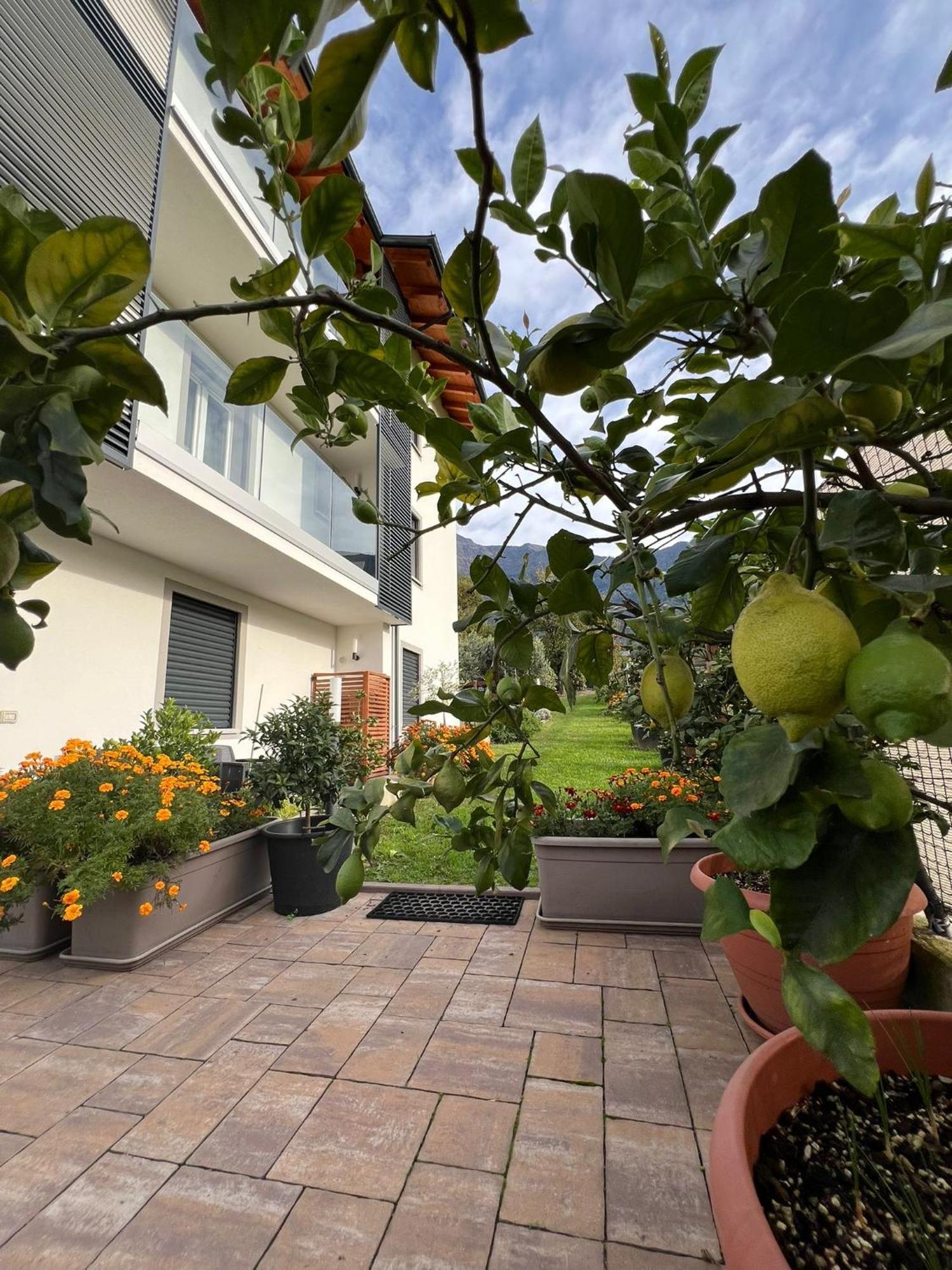 Apartmán Il Giardino Dei Ciliegi Colico Exteriér fotografie