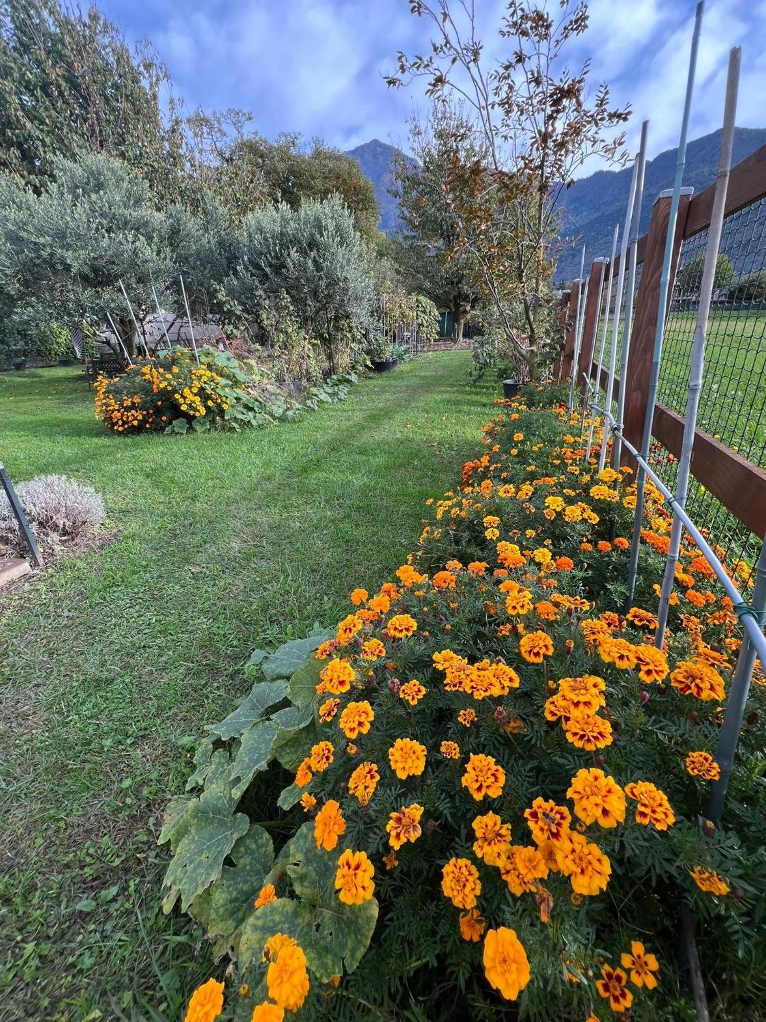 Apartmán Il Giardino Dei Ciliegi Colico Exteriér fotografie